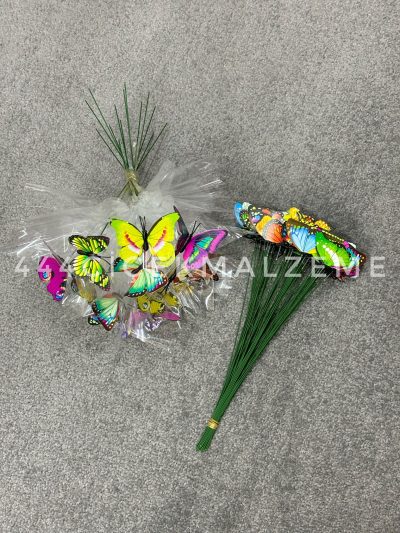 Çubuklu Renkli Kelebek - Görsel 2