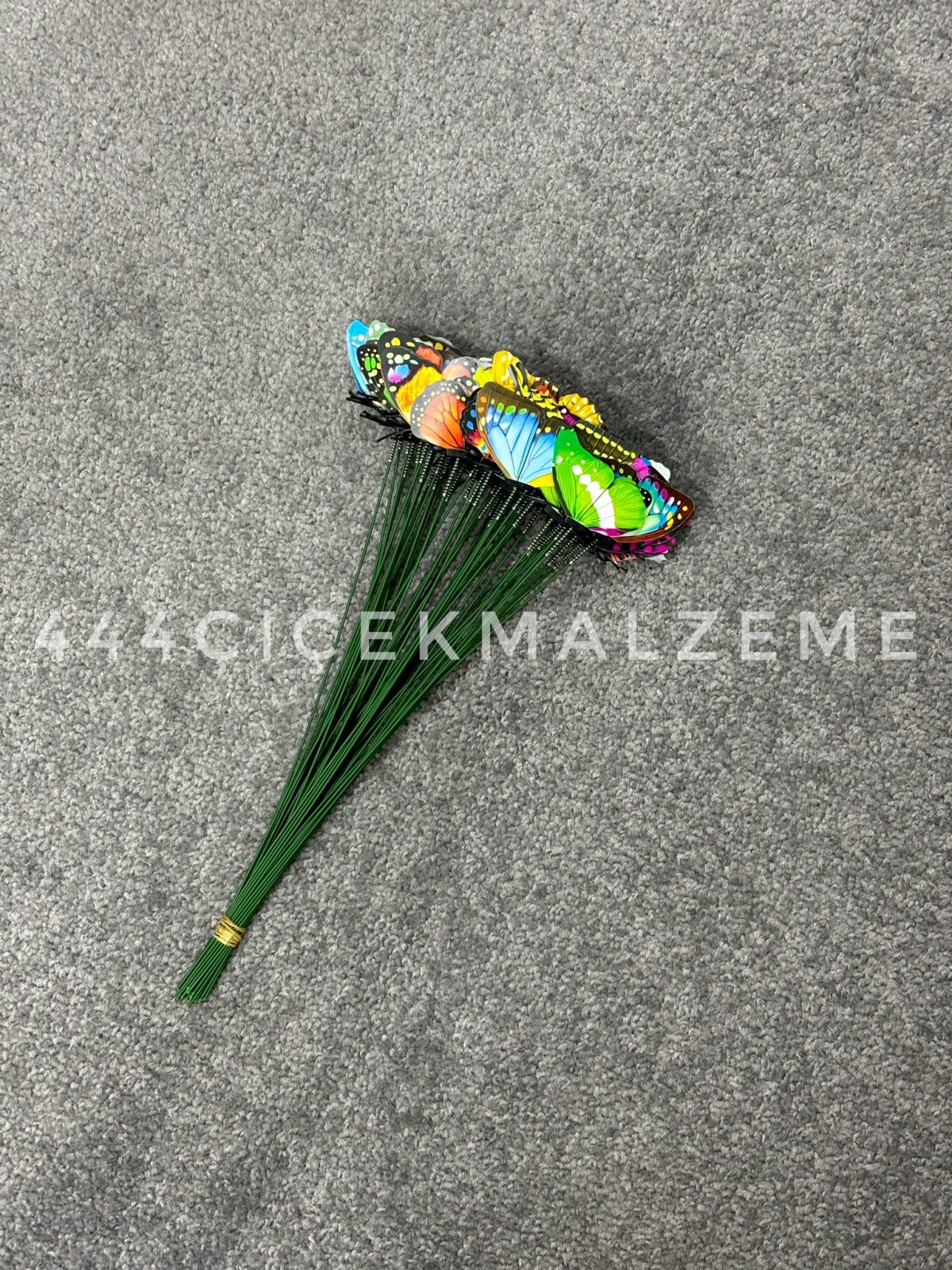 kelebek2.0 Çubuklu Renkli Kelebek - Görsel 1